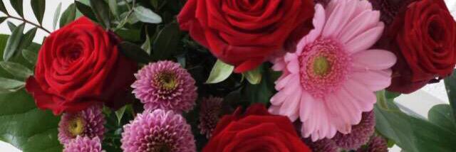 hulya2464's profile banner image