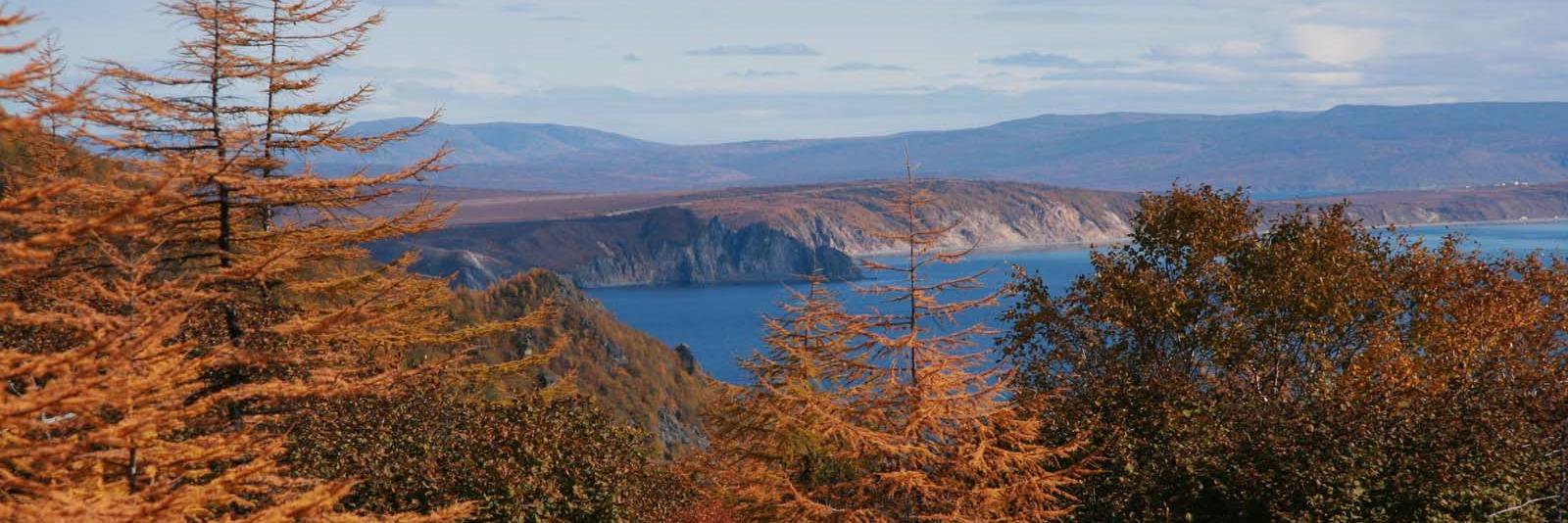 kolyma55's profile banner image