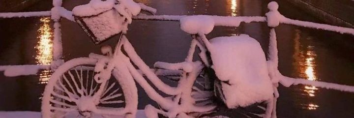 of_lagoss's profile banner image