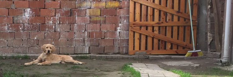 oguzhandnc's profile banner image