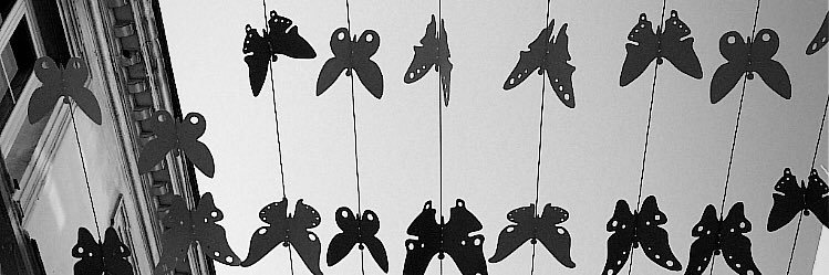 horizontal_moth's profile banner image