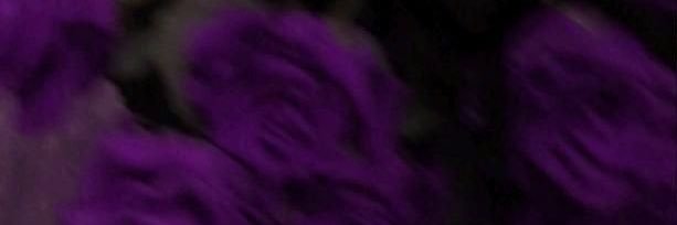 annagabrielad's profile banner image