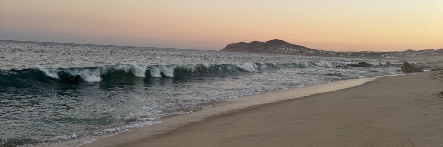 ryn banner