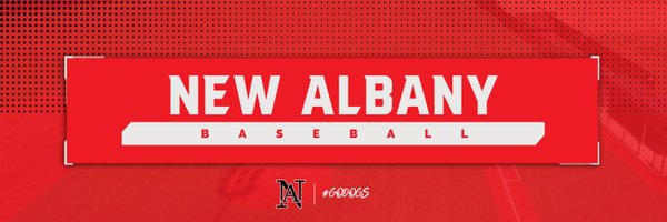NABaseballDogs Profile Banner