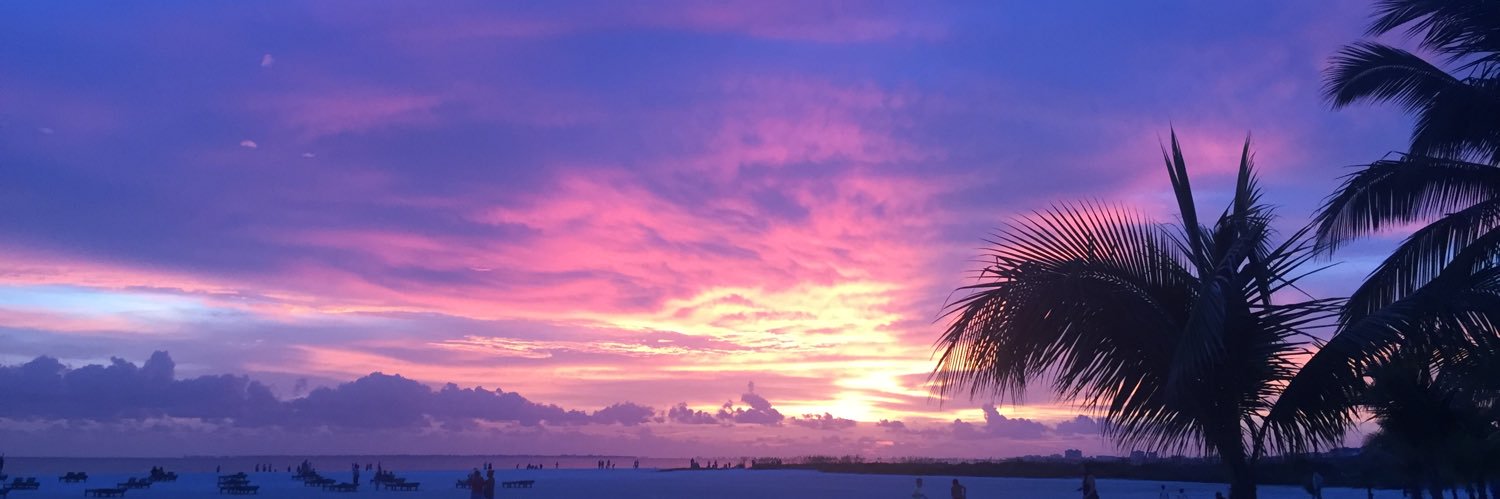 sidneyylouck's profile banner image