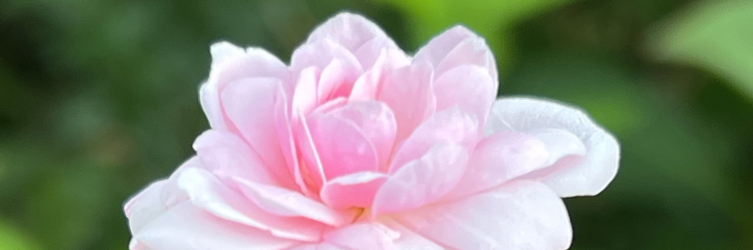 Azimad_AD's profile banner image