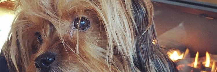 beeaa7's profile banner image