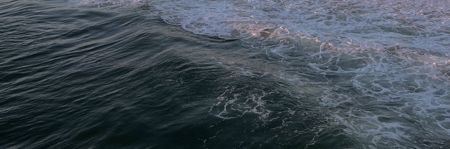 maë🦋 banner