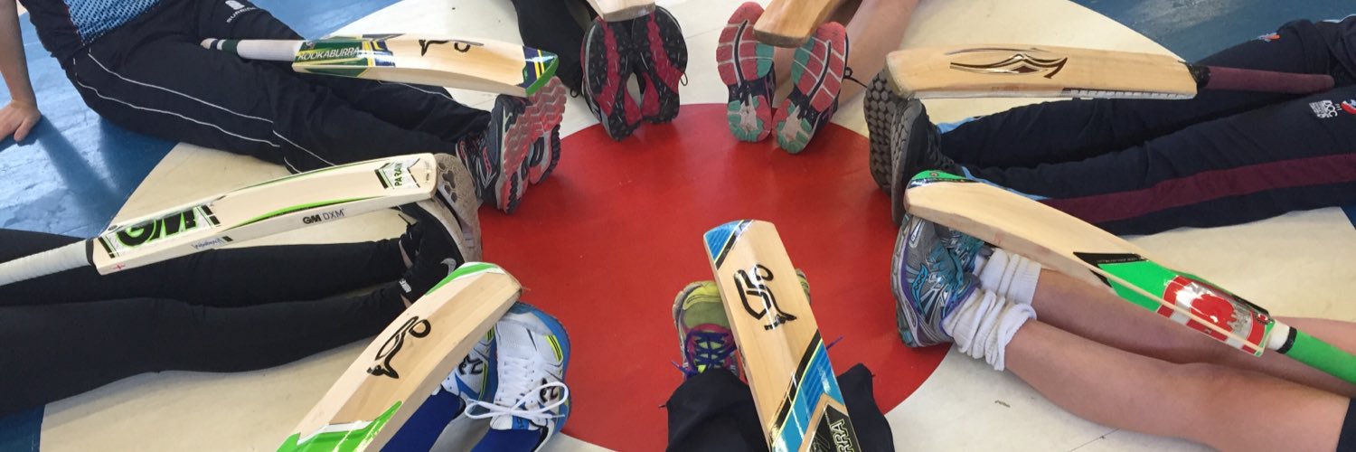 RAF Women's Cricket banner