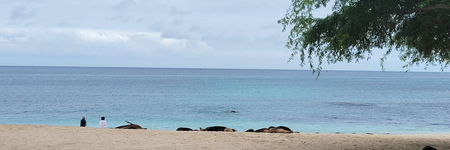 Chingwen Cheng banner