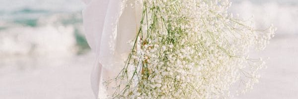 manuel1109201's profile banner image