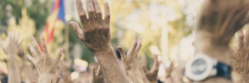 DIPD - Danish Institute for Parties and Democracy banner