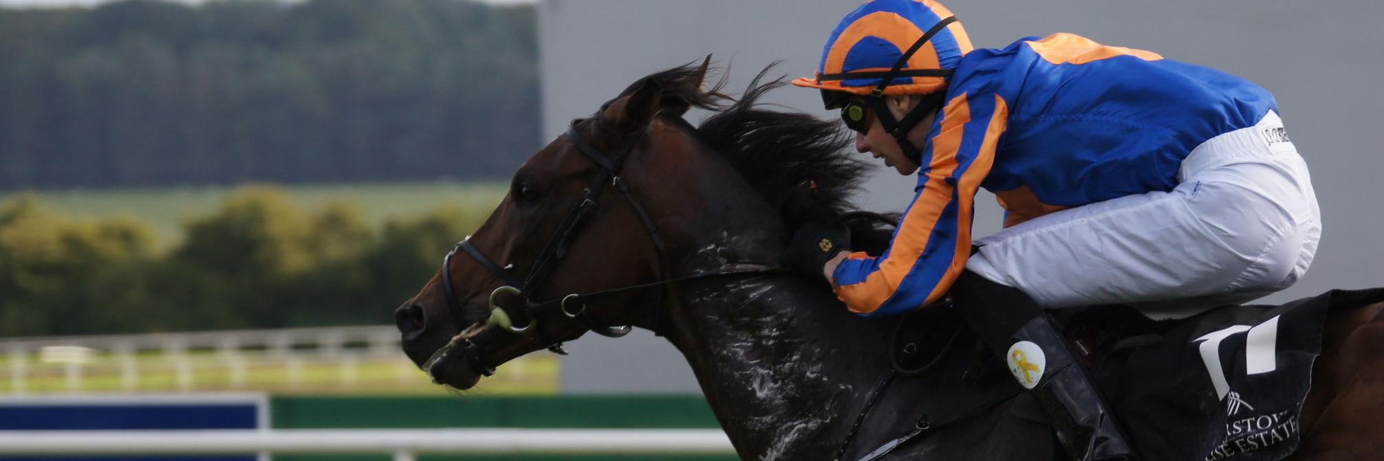 soukaiwind's profile banner image