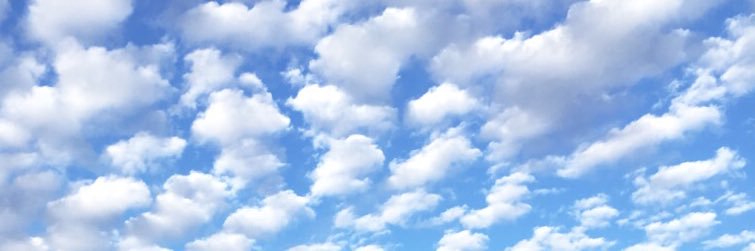 Tiffanicolai's profile banner image