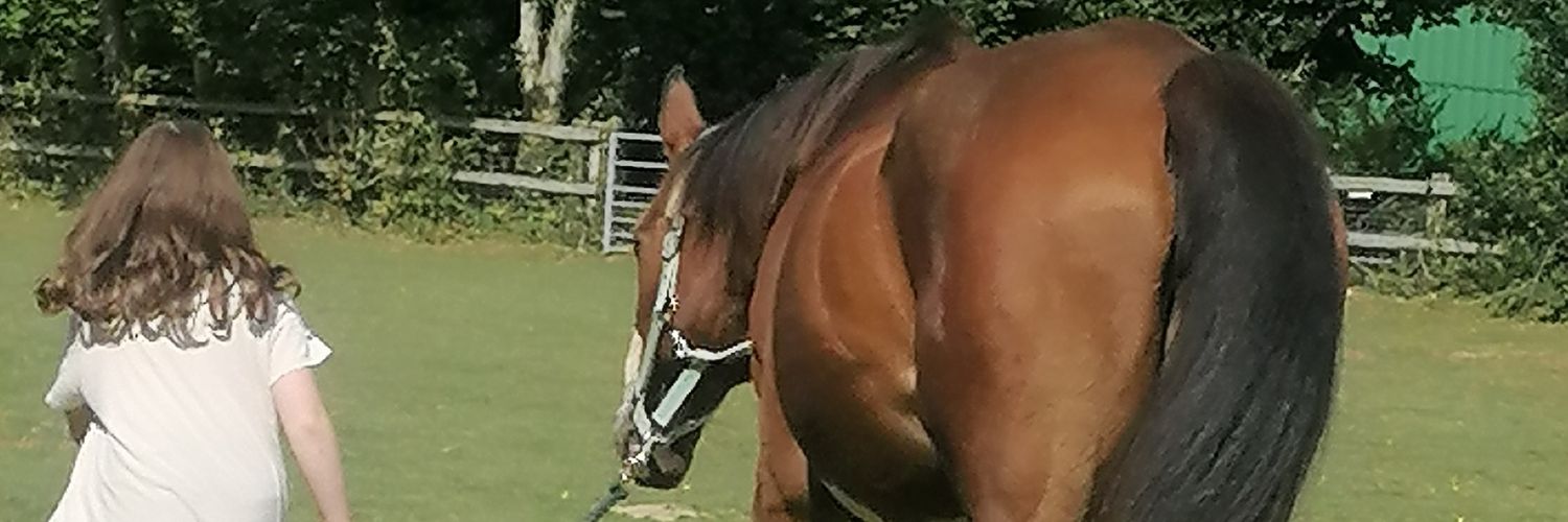 NikkiAura 💚freedom💚Nature 🍂🌻 banner