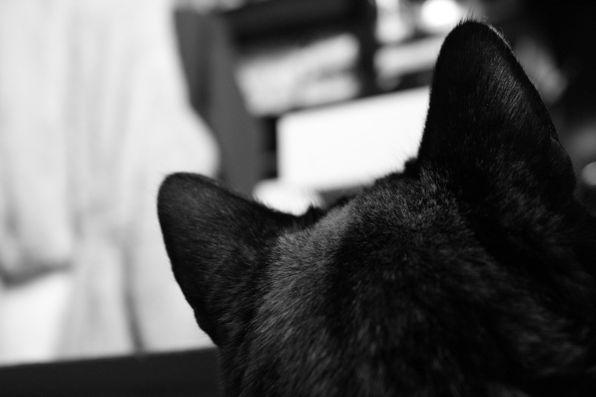 Carlou03's profile banner image
