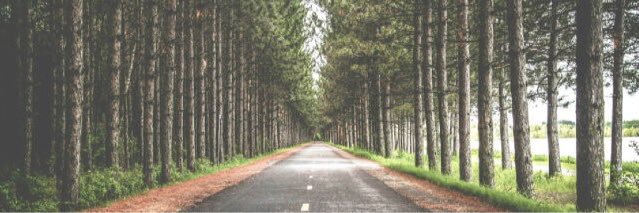 Alwaysdelenaaaa's profile banner image