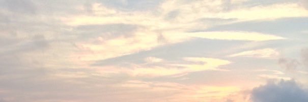 actioncatd's profile banner image