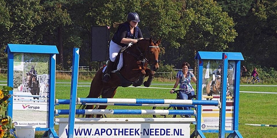 Annekollee's profile banner image