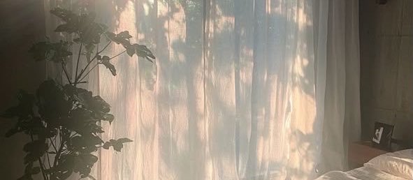 Emily_574's profile banner image