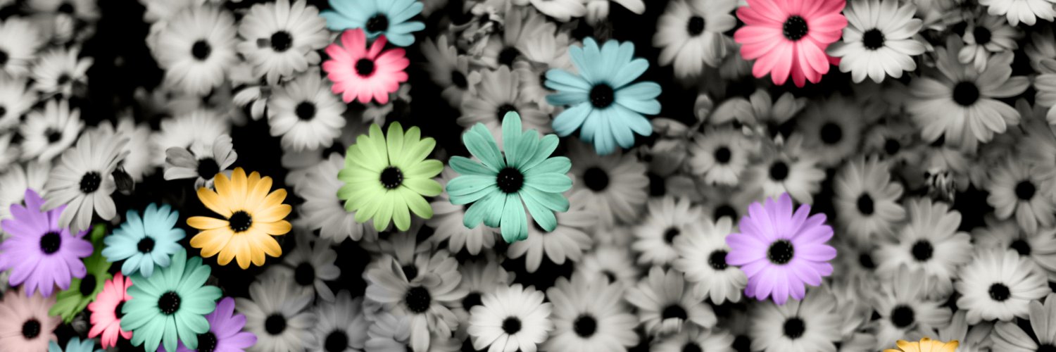LadySandra94's profile banner image