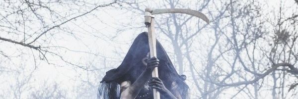danche999's profile banner image