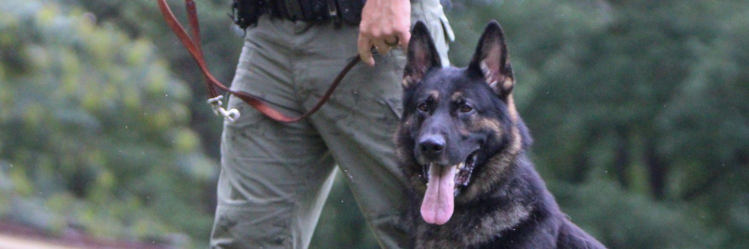 CustomK9Unltd's profile banner image