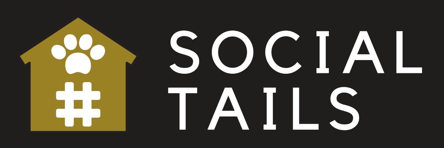 socialstable's profile banner image