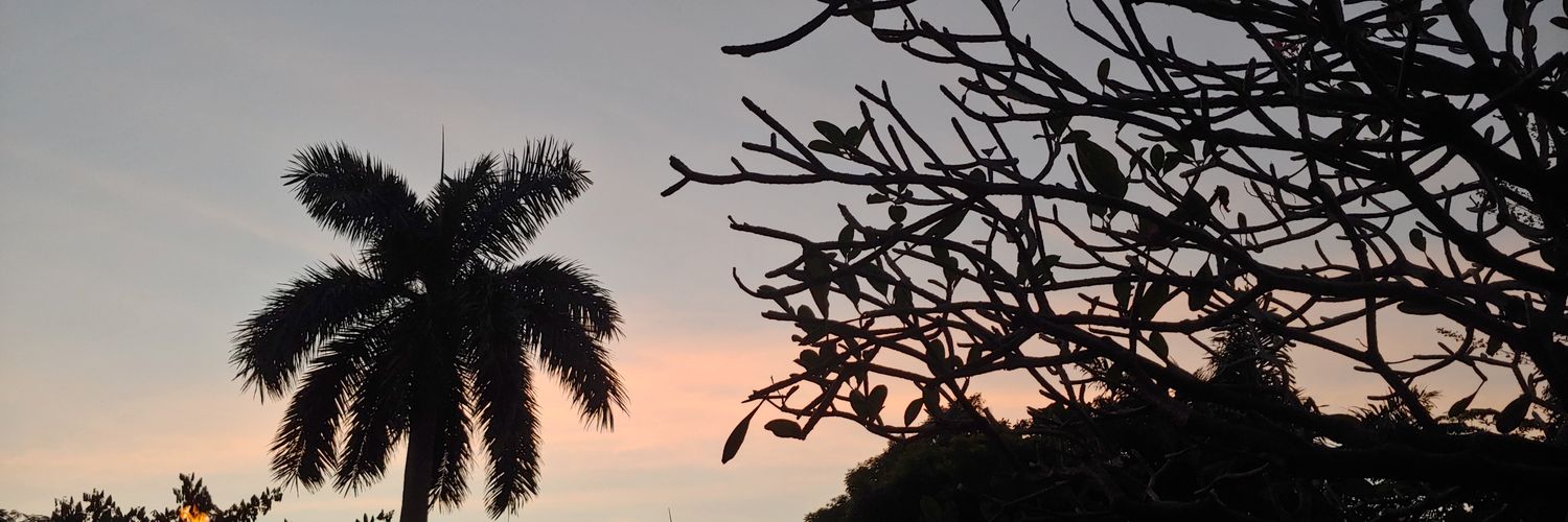 Clearskie92's profile banner image