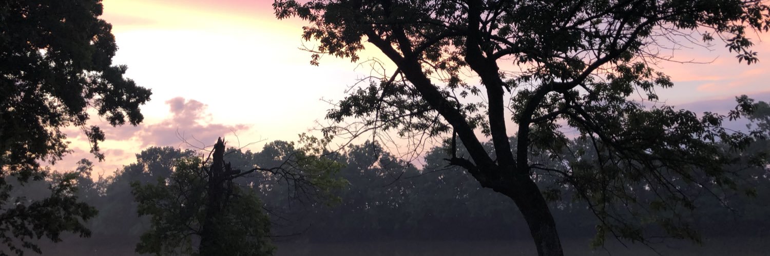 JessalynVines's profile banner image