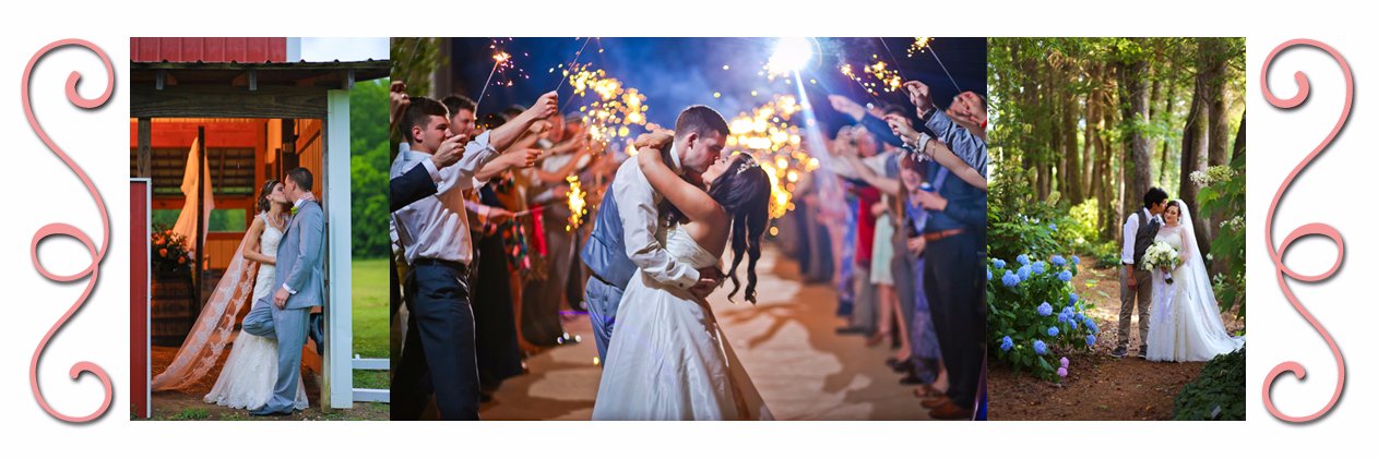 ddmphotography's profile banner image