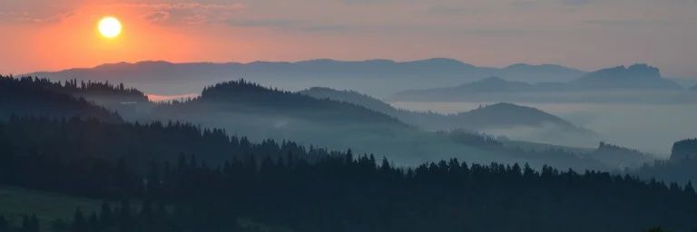 Lnavarrok's profile banner image