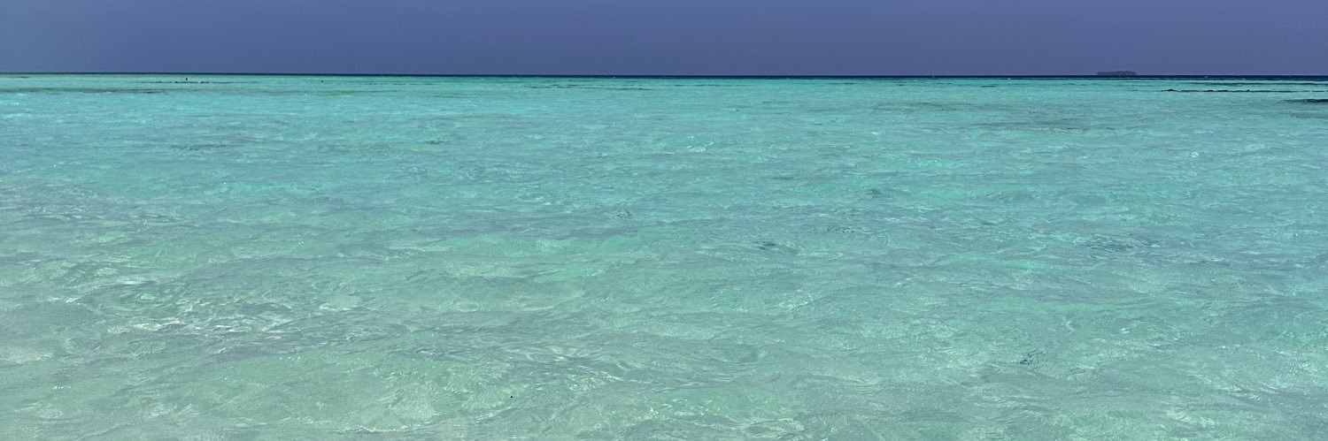 IndraPochtaruk's profile banner image