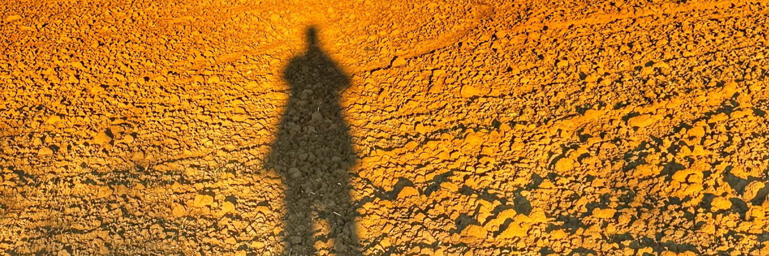 stefanomaranit's profile banner image