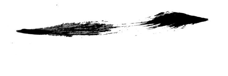 RomArchive's profile banner image
