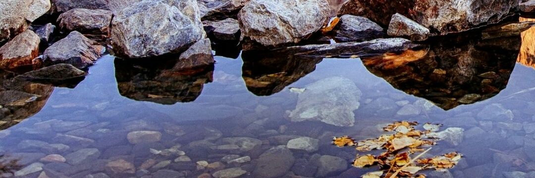 Waheed113's profile banner image