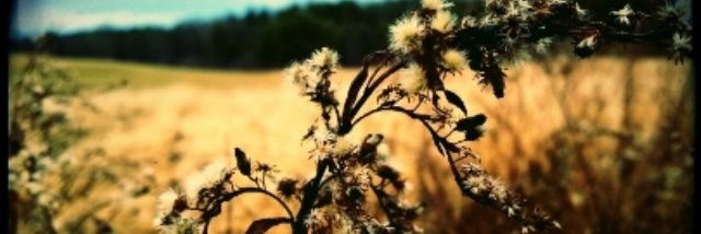 _DonNewman's profile banner image