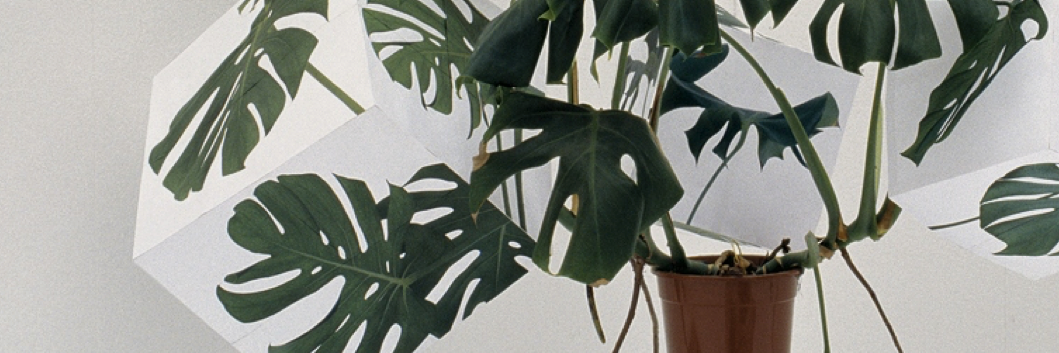 sherrydubeau's profile banner image