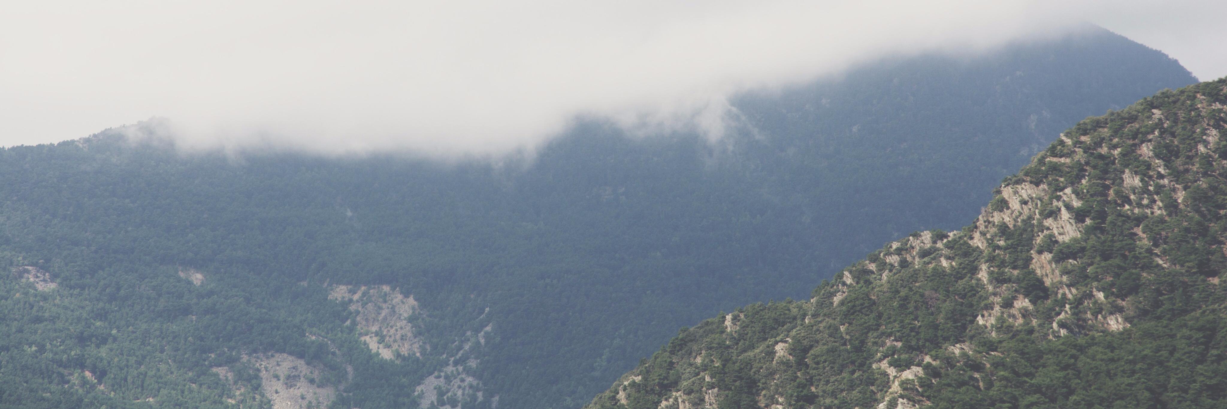 FyuhTweets's profile banner image