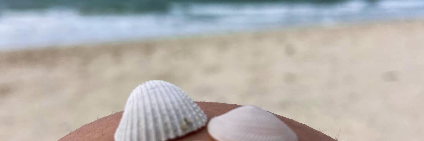 vnkmaria's profile banner image