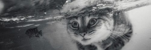 fervela89's profile banner image