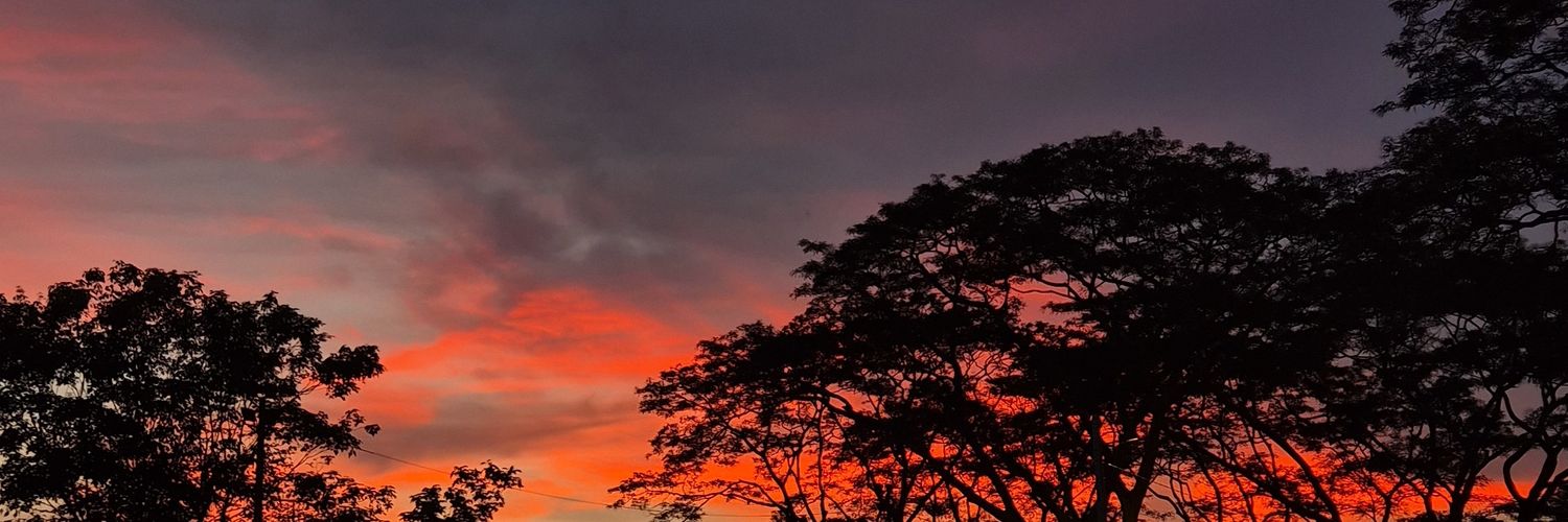 rsx181's profile banner image