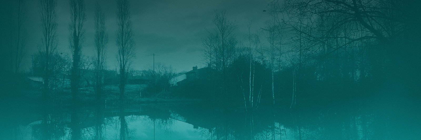 _ZYXer's profile banner image