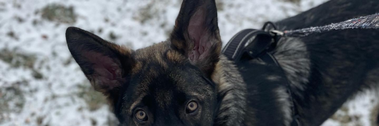 jmac_mcc's profile banner image