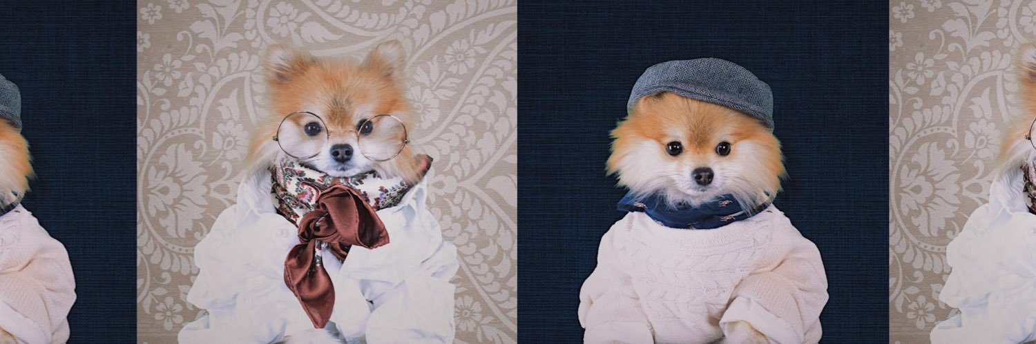 pompomchewy's profile banner image