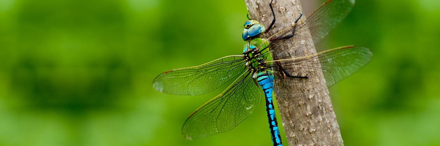 Empanda_Network's profile banner image