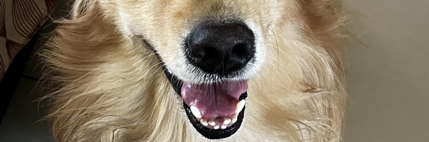maclenonzinho's profile banner image