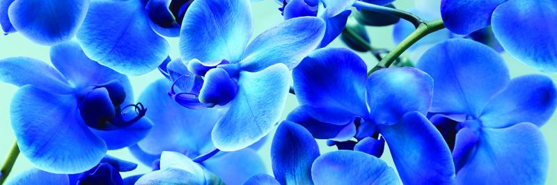 effgroup's profile banner image
