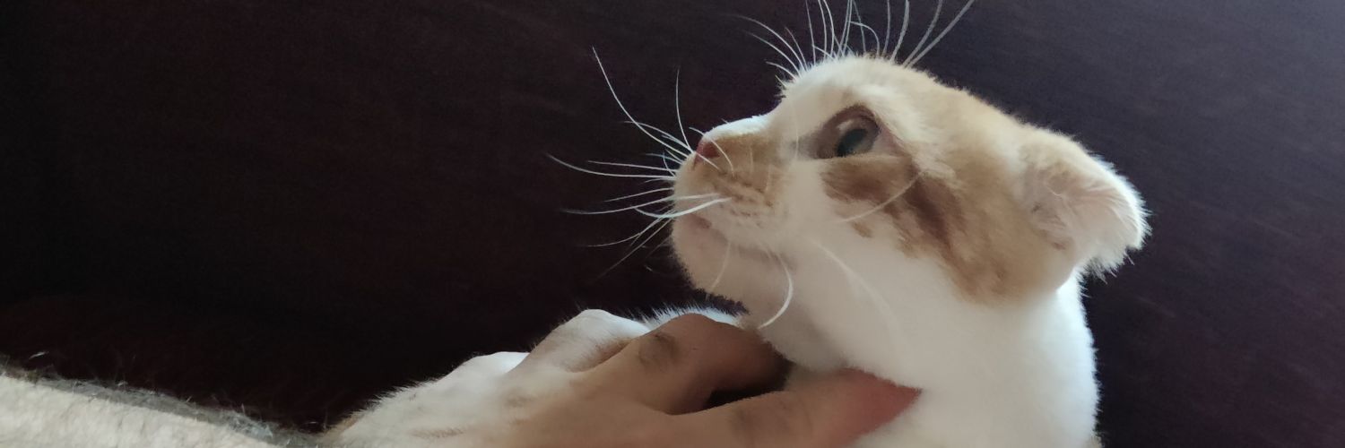 Broug's profile banner image