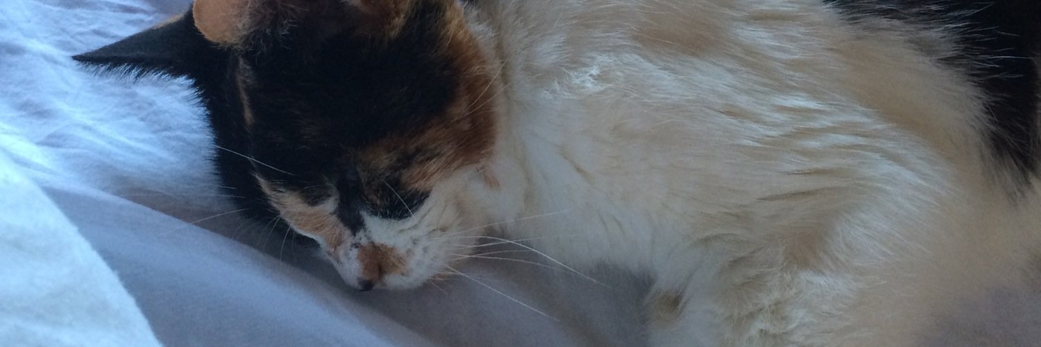 Alyst Mandelson banner